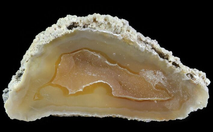Agatized Fossil Coral Geode - Florida #66843